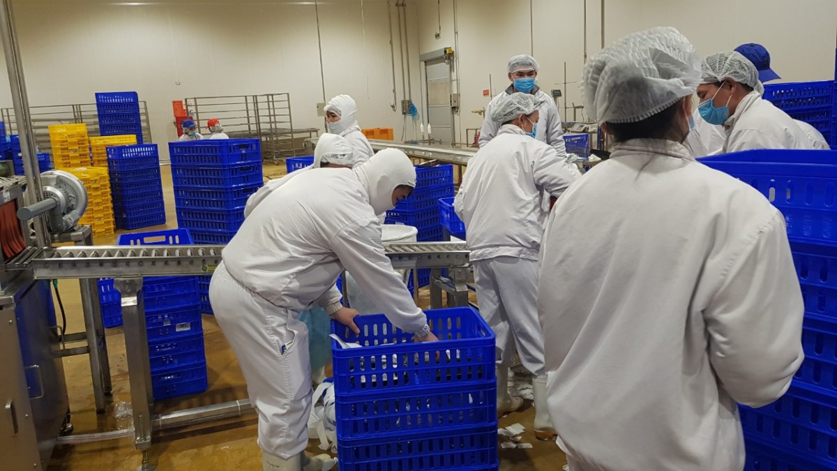 Công ty Tâm Đức tặng quà tết 2021 cho lao động tại nhà máy chế biến thực phẩm Masan - Thanh Hóa