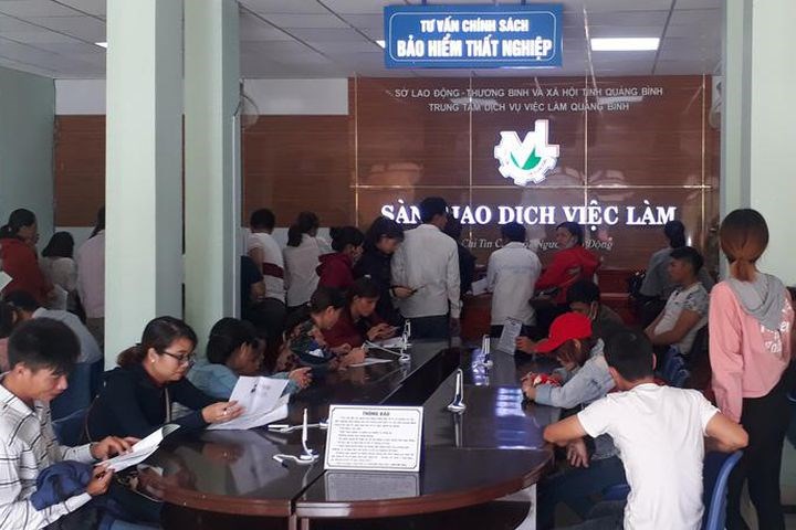 Quảng Bình Nâng cao năng lực và hiệu quả hoạt động của các cơ quan, đơn vị thực hiện chính sách BHTN