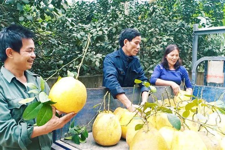 Người Bí thư chi bộ thôn gương mẫu