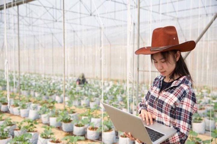 Hỗ trợ đưa lao động trẻ về làm việc tại hợp tác xã