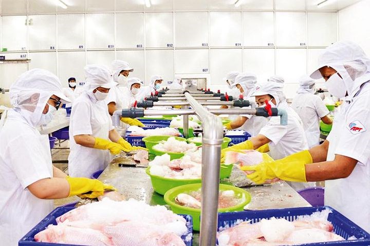 Bảo đảm sức khỏe người lao động