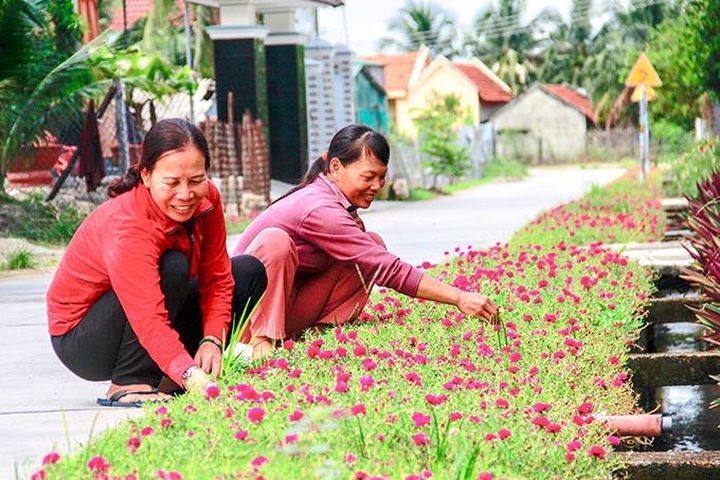 Góp phần tạo cảnh quan nông thôn xanh, sạch, đẹp