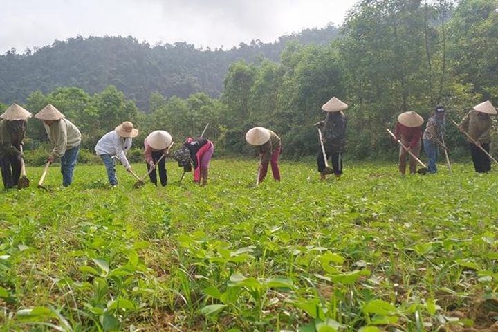 Minh Hóa Gần 3.200 hội viên phụ nữ được hỗ trợ vay vốn phát triển kinh tế