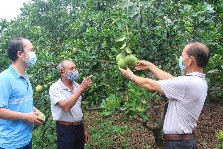 Phát huy vai trò của chi bộ sau sáp nhập