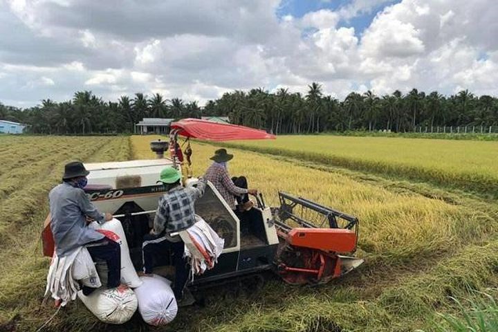 Đồng Tháp Duy trì tỉ lệ thất nghiệp chung ở mức dưới 1%