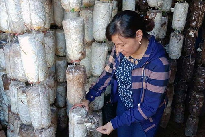 Bố Trạch Hỗ trợ hơn 1.000 phụ nữ có hoàn cảnh khó khăn vay vốn phát triển kinh tế