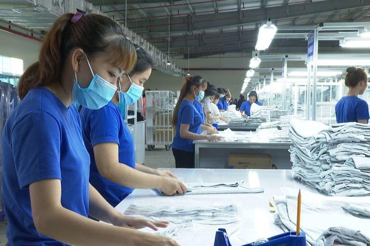 Giải quyết cho 46.407 lao động tạm dừng đóng quỹ hưu trí và tử tuất