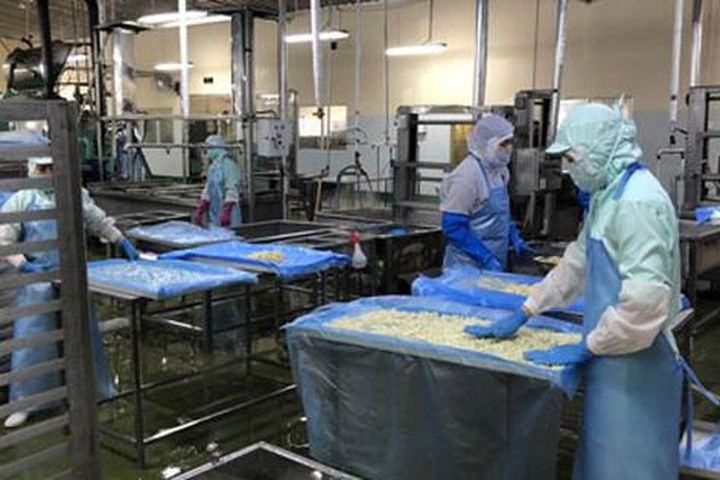 Công nhân an tâm làm việc