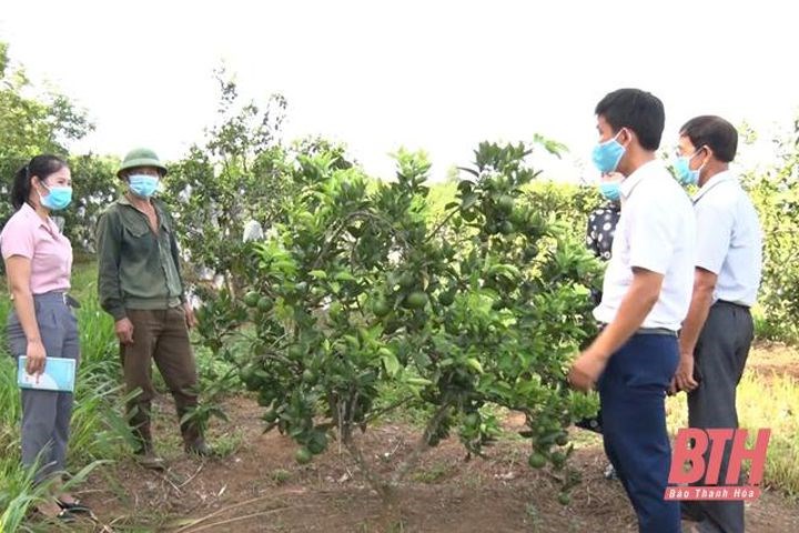 Cựu chiến binh gương mẫu trong các phong trào