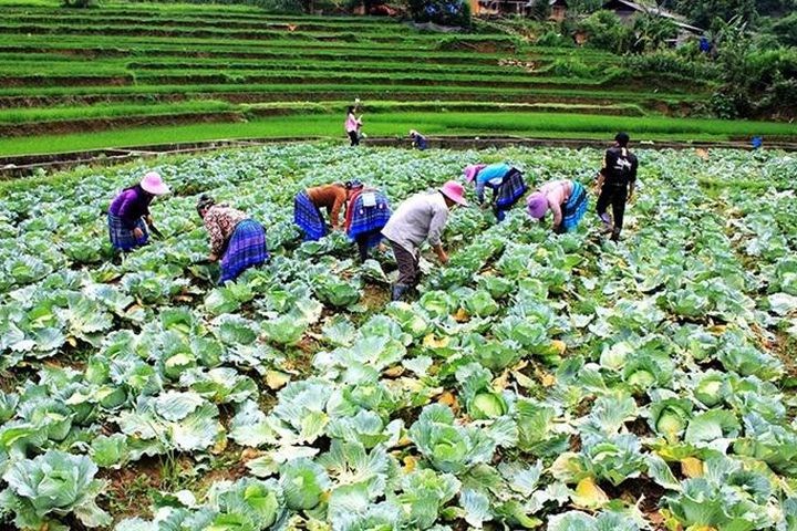 Thấy gì từ những con số (bài 3)