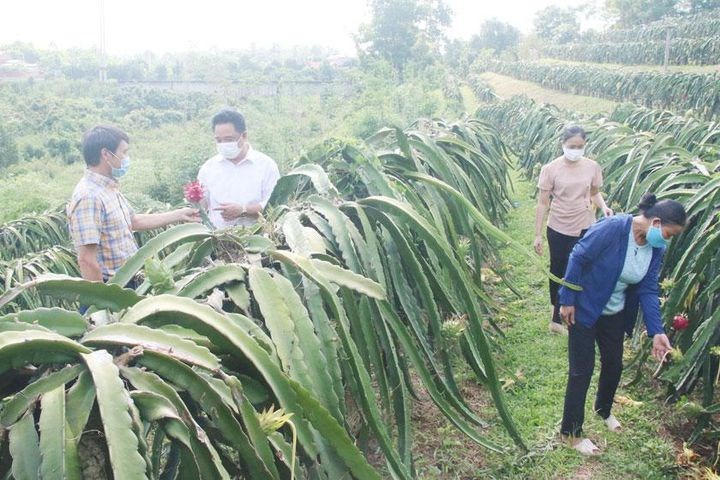Hiệu quả cao từ khéo chọn mô hình