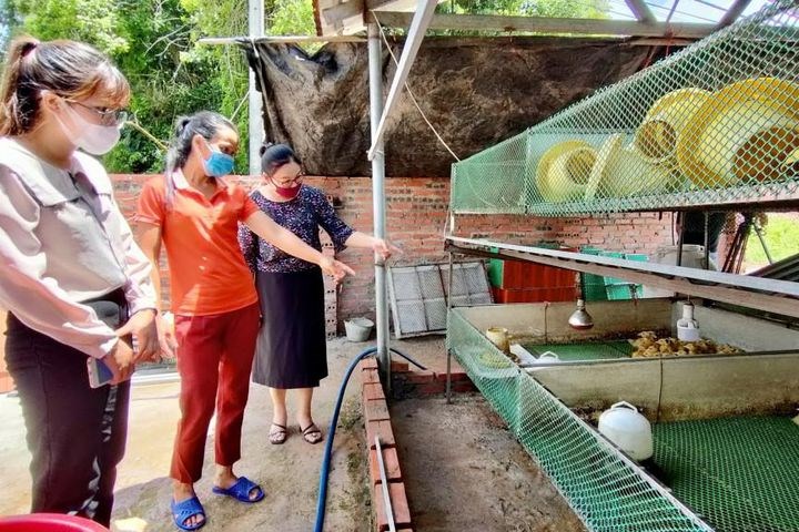 Ngăn chặn bạo lực trên cơ sở giới
