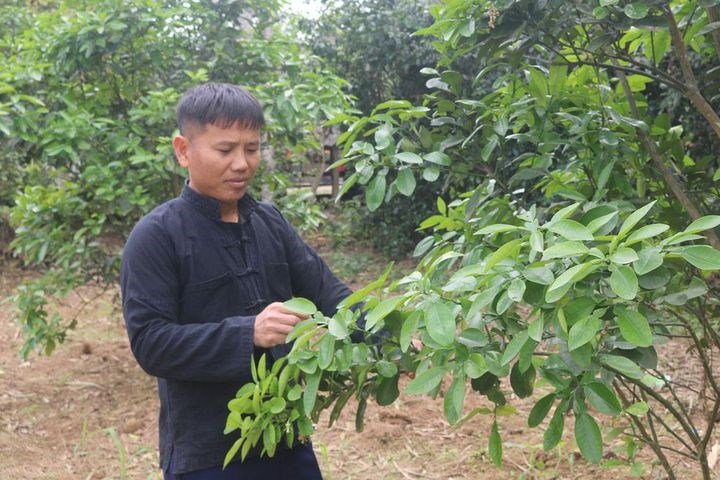 Người đảng viên gần dân