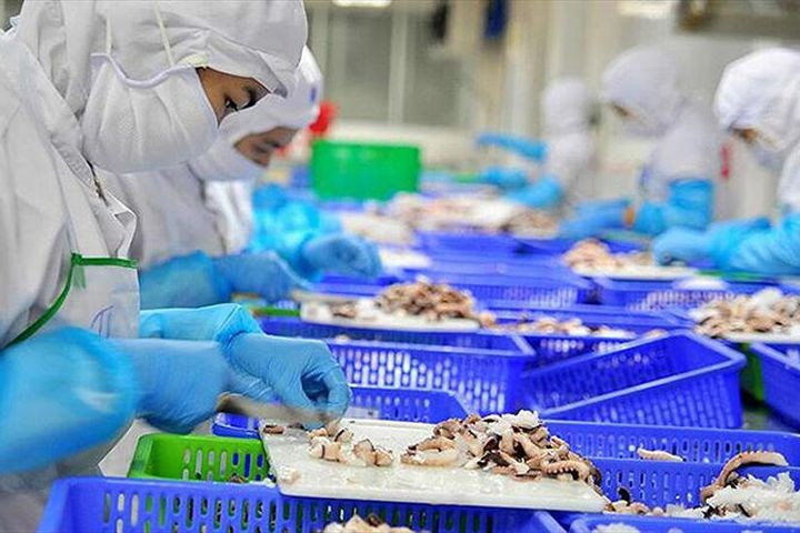 Chính sách bảo hiểm thất nghiệp đối với lao động việc làm Giá đỡ vững chắc