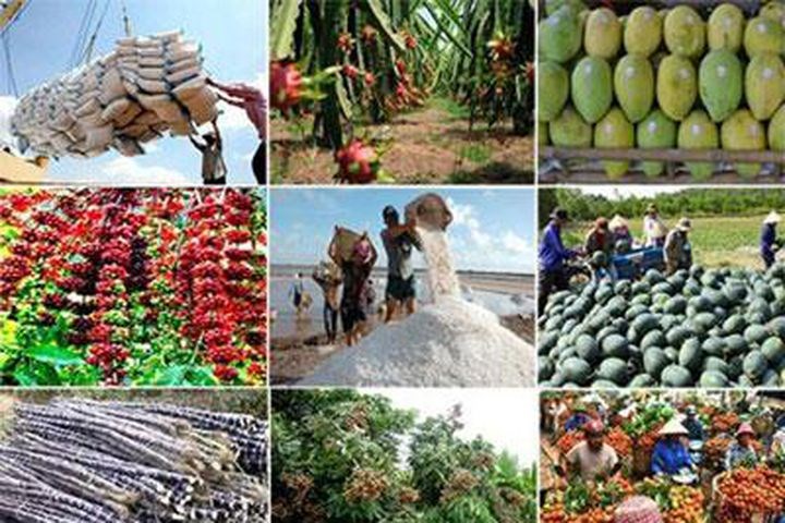 Kết quả sơ bộ chương trình hỗ trợ tiêu thụ nông sản