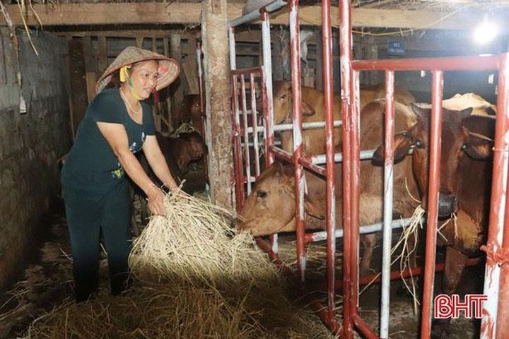 Chi hội trưởng nói được, làm được ở xóm núi Vũ Quang