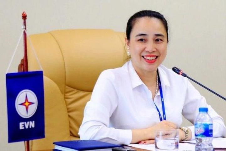 Bà Đỗ Nguyệt Ánh được bổ nhiệm làm chủ tịch HĐTV EVNNPC