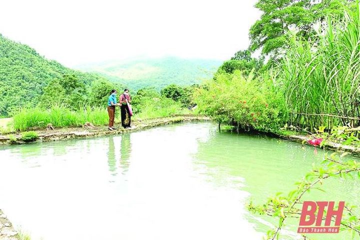 Phụ nữ huyện Quan Hóa giúp nhau xóa đói, giảm nghèo